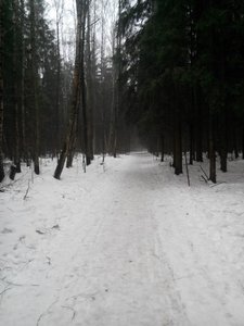 uploadfromtaptalk1425125659465.jpg