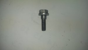 IMAG0493.jpg