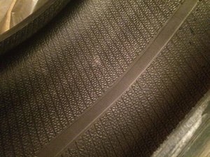 IMG_5389.jpg