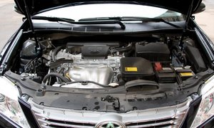 IMG_0880.jpg