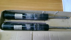 IMAG0252.jpg