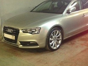 IMG_3572.JPG