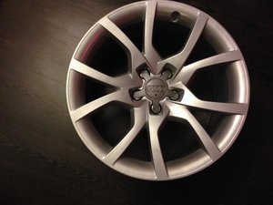 IMG_2707.jpg