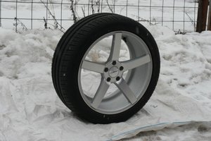 IMG_9014.jpg