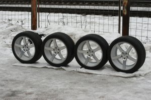 IMG_9053.jpg