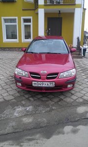 IMAG2304.jpg