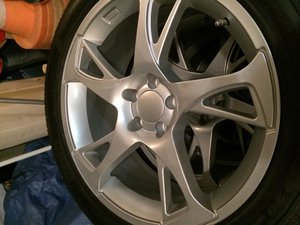 IMG_2987[1].jpg