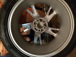IMG_2988[1].jpg