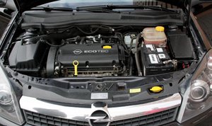 IMG_0932.jpg