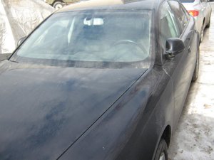 IMG_1212.jpg