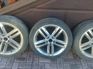 IMG_0303.jpg