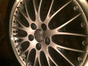 IMG_3106[1].jpg