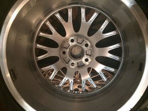 IMG_3108[1].jpg
