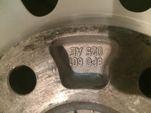 IMG_3110[1].jpg