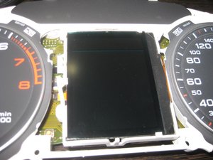 IMG_3572.jpg