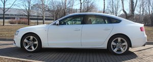 IMG_5486.jpg