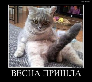 4b3mcemw0m0.jpg