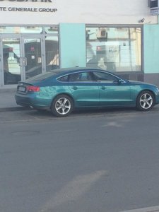 IMG_2230.jpg