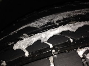 IMG_2908.jpg