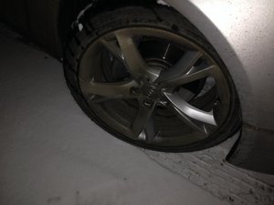 IMG_2911.jpg
