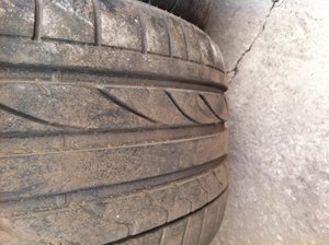 IMG_0195.jpg