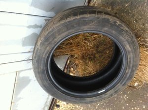 IMG_0181.jpg