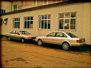 23a5ef8s-960.jpg
