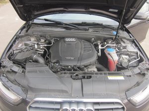 IMG_7972.jpg