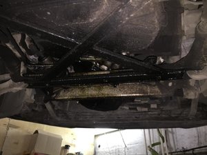 IMG_0179.jpg
