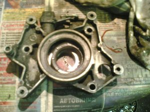 Картинка(03).jpg