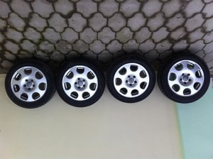 IMG_1332.jpg