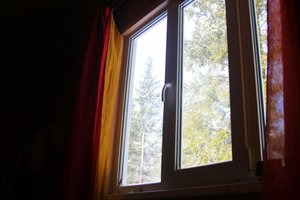 IMG_2076.jpg