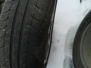 20150404_123310.jpg