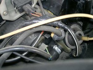 6d93e22s-960.jpg