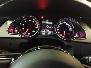 IMG_8795.jpg