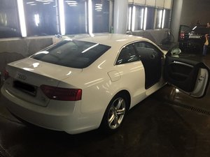 IMG_8784.jpg