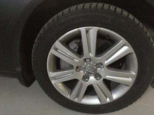 IMG_3232.jpg