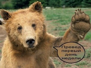 cbarq_001.jpg