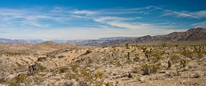 IMG_2889.jpg