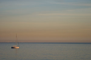 IMG_3200.jpg