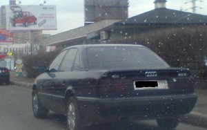 лис.JPG