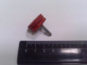 10042008283.jpg