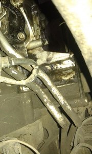 20150408_165026.jpg