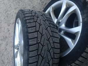 IMG_5200.jpg