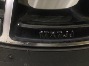IMG_2239.jpg