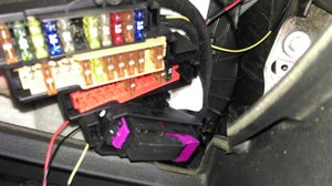 IMAG0810.jpg