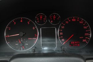 IMG_7884.jpg