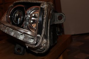 IMG_7799.jpg