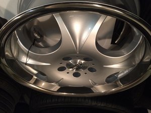 IMG_3507[1].jpg