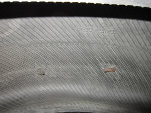 IMG_3204.jpg
